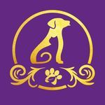 SmartPet - Thaiz Ferreira